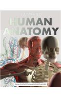 Illustrated Human Anatomy