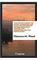 Wild flower families; the haunts, characters, and family relationships of the herbaceous wild flowers, with suggestions for their identification