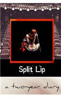 A Two-Year Diary: Selected Works from Split Lip Magazine