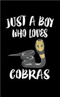 Just A Boy Who Loves Cobras