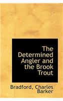 The Determined Angler and the Brook Trout