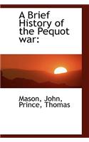A Brief History of the Pequot War