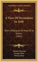 A View Of Devonshire In 1630