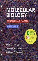 Loose-Leaf Version for Molecular Biology: Principles and Practice 2e & Launchpad for Cox's Molecular Biology (1-Term Access)