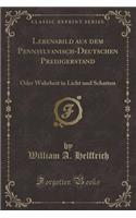 Lebensbild Aus Dem Pennsylvanisch-Deutschen Predigerstand: Oder Wahrheit in Licht Und Schatten (Classic Reprint): Oder Wahrheit in Licht Und Schatten (Classic Reprint)