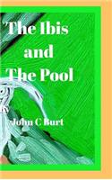 The ibis and The Pool.