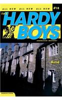 Hazed: (14 Hardy Boys (All New) Undercover Brothers)