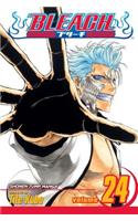 Bleach, Vol. 24