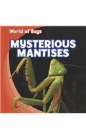 Mysterious Mantises