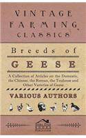 Breeds of Geese - A Collection of Articles on the Domestic, the Chinese, the Roman, the Toulouse and Other Varieties of Geese