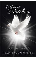 What is Wisdom