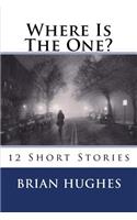 Where Is The One?: 12 Short Stories(English)