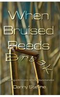 When Bruised Reeds Break: Returning A Life To The Destiny God Intended(English)