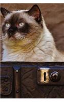 British Shorthair Cat Sitting in an Antique Leather Suitcase Journal: 150 Page Lined Notebook/Diary