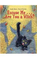 Excuse Me. . . Are You a Witch?