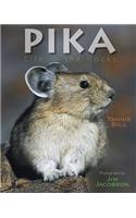 Pika: Life in the Rocks