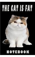 The cat is fat, NOTEBOOK: Cute Journal For Kids and Adults To Write In Take Notes With a Smile, Funny Notebooks