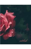 Notebook: Unlined/Plain Notebook - Large (8.5 x 11 inches) - 120 Pages