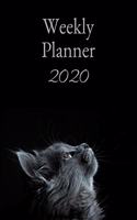 Weekly Planner 2020: A5 6x9 Sign Calendar Organizer calendar weekly Calendar Diary Journal Cat Cat Lover