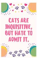 Cats are inquisitive, but hate to admit it