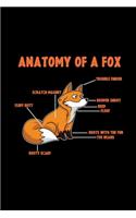 Anatomy of a fox