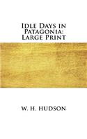 Idle Days in Patagonia: Large Print