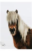 Horse Notebook