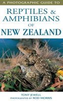 Photographic Guide to Reptiles & Amphibians of New Zealand