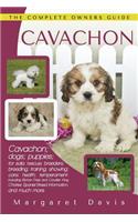 Cavachon