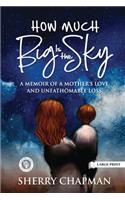 How Much Big Is the Sky