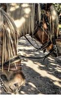 Draft Horses Notebook