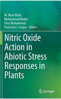 Nitric Oxide Action in Abiotic Stress Responses in Plants