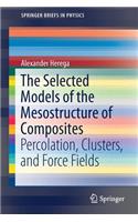 Selected Models of the Mesostructure of Composites