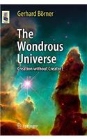 The Wondrous Universe