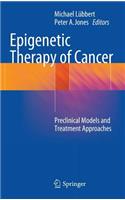 Epigenetic Therapy of Cancer