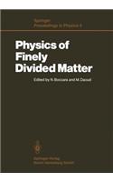 Physics of Finely Divided Matter