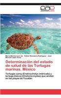Determinacion del Estado de Salud de Las Tortugas Marinas. Mexico