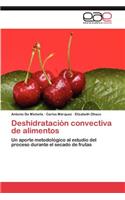 Deshidratacion Convectiva de Alimentos