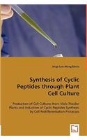 Synthesis of Cyclic Peptides through Plant Cell Culture