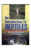 An Introduction to Reptiles