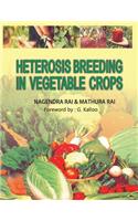 Heterosis Breeding in Vegetable Crops