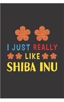 I Just Really Like Shiba Inu