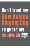 Can't trust my New Guinea Singing Dog to guard my sandwich