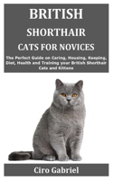 British Shorthair Cats for Novices