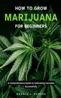 How To Grow Marijuana For Beginners: A Comprehensive Guide To Cultivating Cannabis Successfully