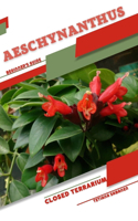 Aeschynanthus