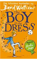 The Boy in the Dress