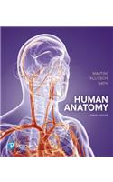 Human Anatomy Plus Mastering A&p with Pearson Etext -- Access Card Package: (New A&p Titles by Ric Martini and Judi Nath)