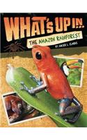 What's Up in the Amazon Rainforest