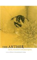 Anther
